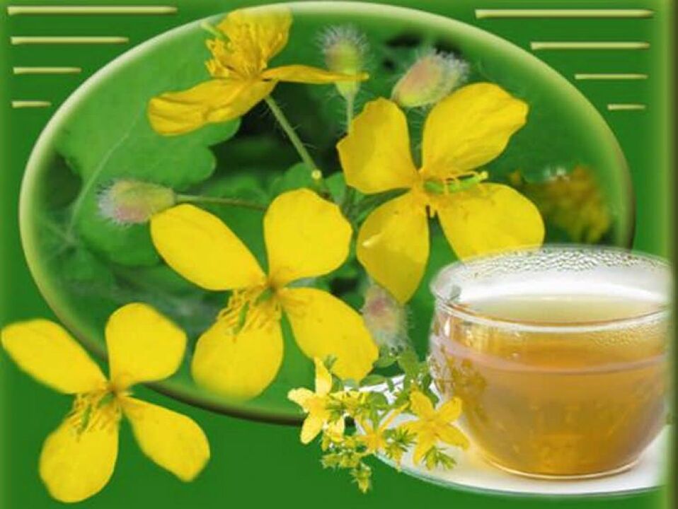 Decoction with celandine for toenail fungus