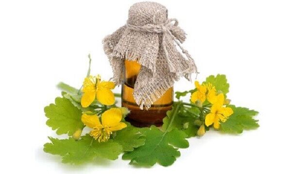 Celandine oil for nail fungus